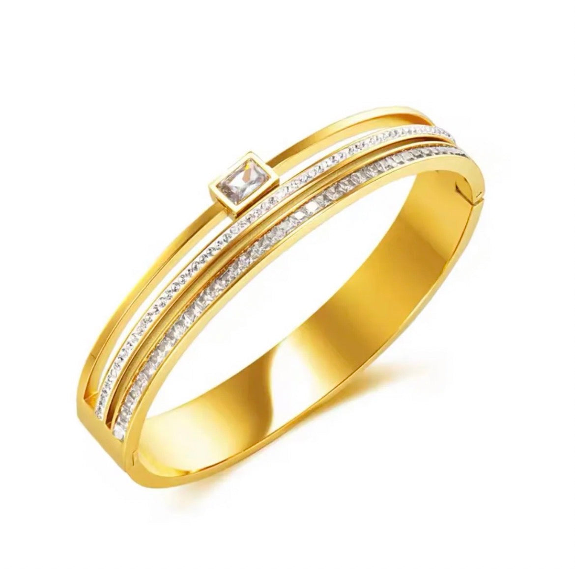 HANI BANGLE