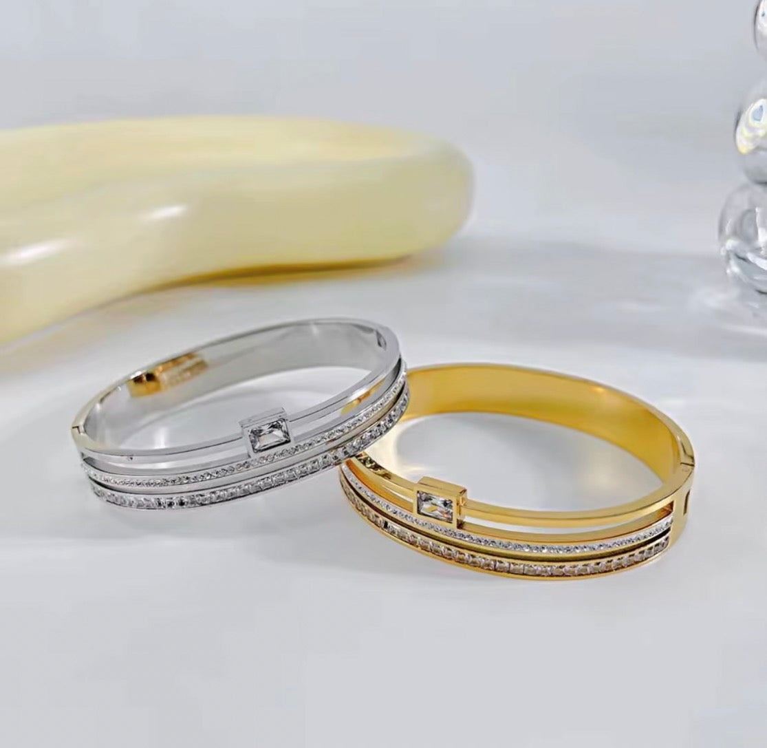 HANI BANGLE